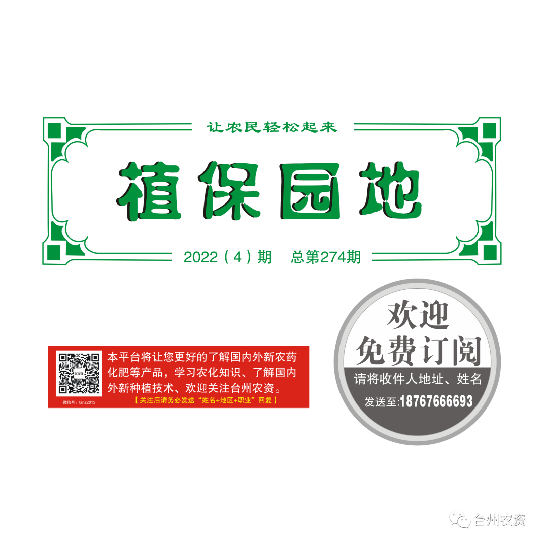氣溫驟降，大棚西瓜做好以下幾點(diǎn)工作