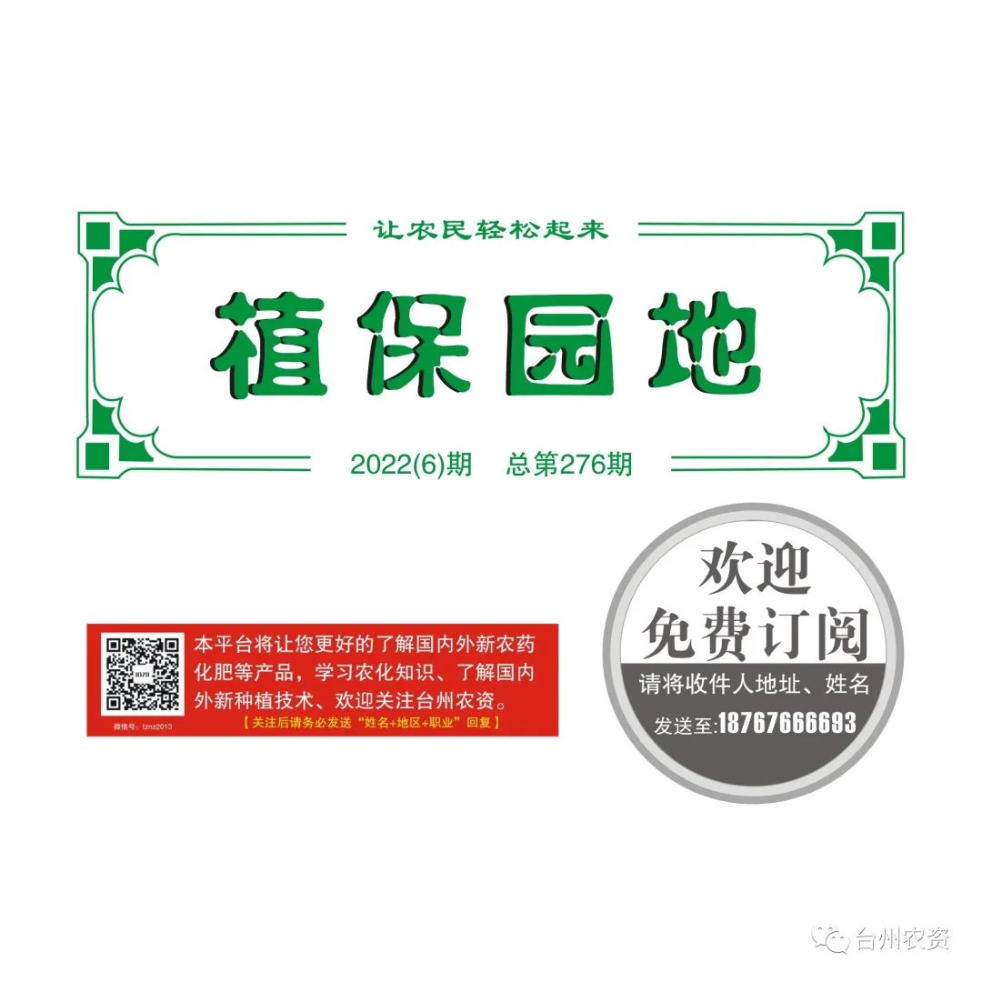梅雨季節(jié)來臨，柑橘即將穩(wěn)果，注意管理好夏梢，合理施肥打藥