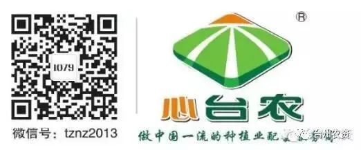果實接近成熟，警惕柑橘表面各種油胞病